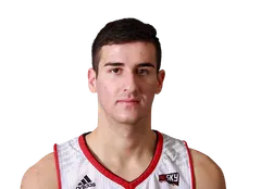 Luka Vulikic headshot